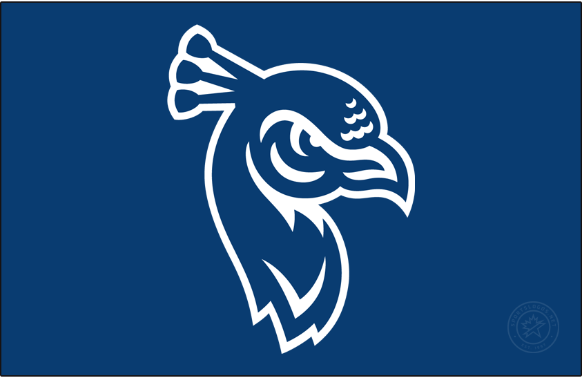 St. Peters Peacocks 2020-pres primary dark logo t shirts iron on transfers